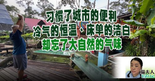 猫夫人：到榴梿园喂蚊子！——江沙之旅（中）