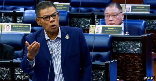 内长：7“混血足球员”归化大马 合法合宪