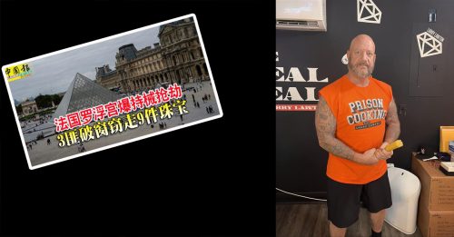 批罗浮宫贼是业余白痴  贼王：“最有效是塞进肛门！”