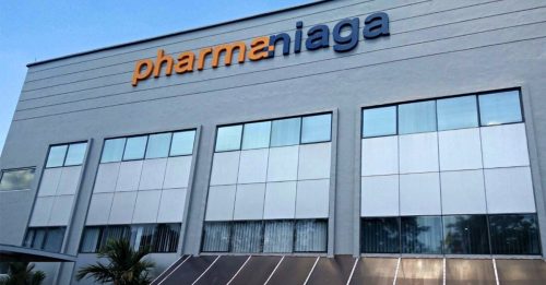 发马半年扭亏为盈 2026财年派息率料达70%