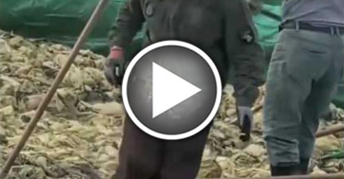 男子在酸菜池中抽烟吐痰 管理局：依法严惩绝不姑息！