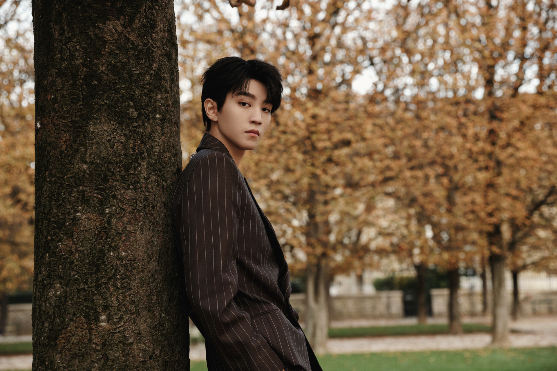 王俊凯工作室更新一组秋意满满的定装照。（图／翻摄自微博／王俊凯）