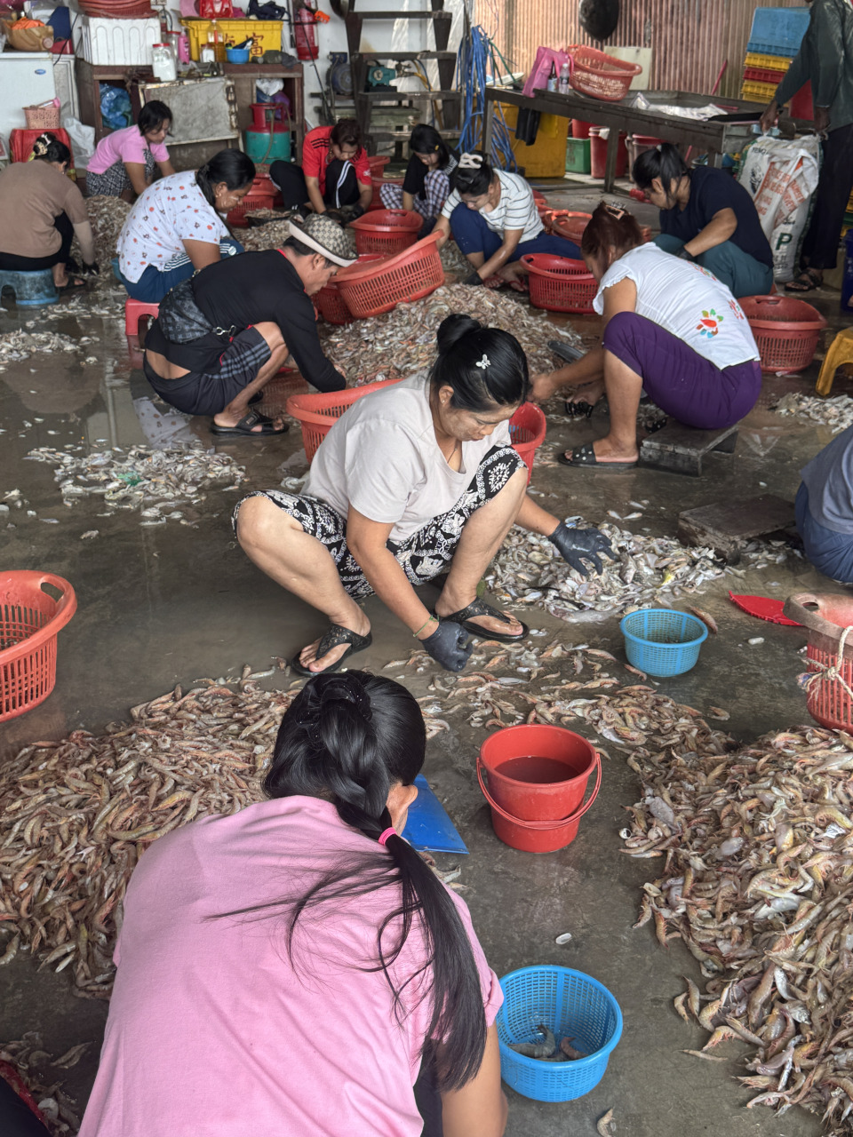 猫夫人：趴趴走手札——适耕庄鱼村和海鲜