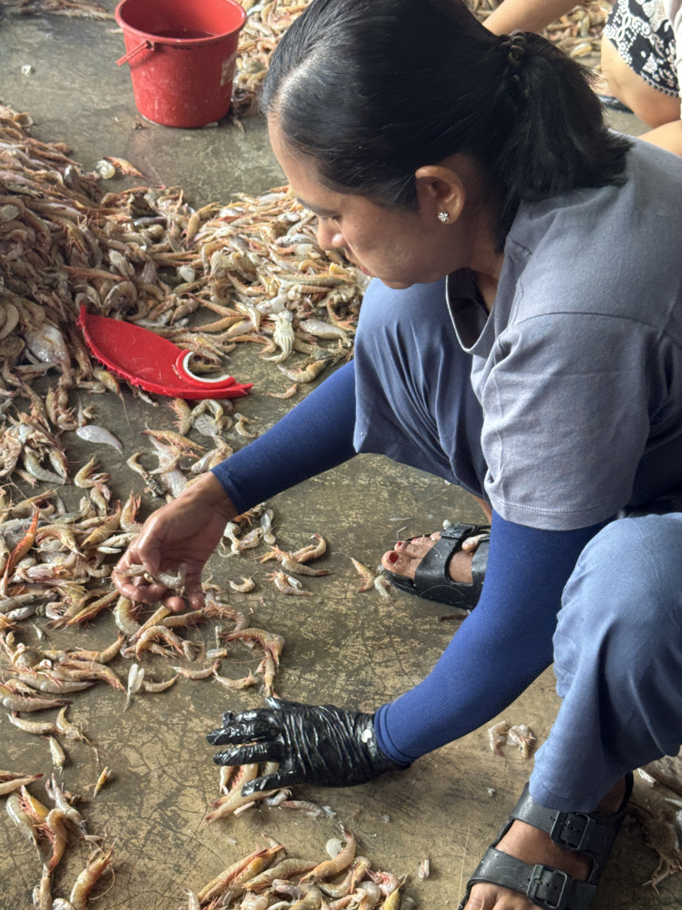 猫夫人：趴趴走手札——适耕庄鱼村和海鲜