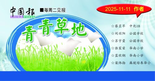 蔡芷芊★成功前的一步