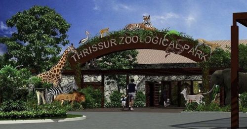 印度动物园刚开幕 流浪狗一夜咬死10多只梅花鹿