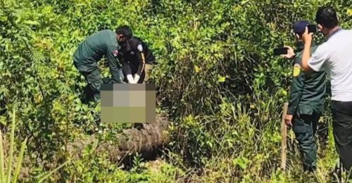 柬埔寨惊现行李箱藏尸 警方：疑死者为外国人