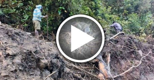 印尼巴布亚暴雨酿水灾 连2起过河意外 23人溺毙