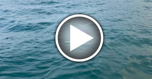 偷渡船沉没事故 最新消息：至少7死！｜附音频