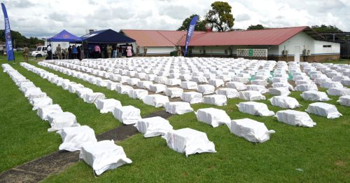 巴拿马查获12吨可卡因 10人被捕