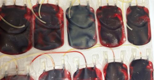 需粒细胞救血癌儿 血库中心吁踊跃捐血