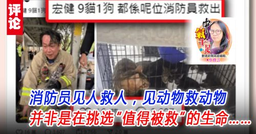 蔡宝云：人和动物，先救哪个？