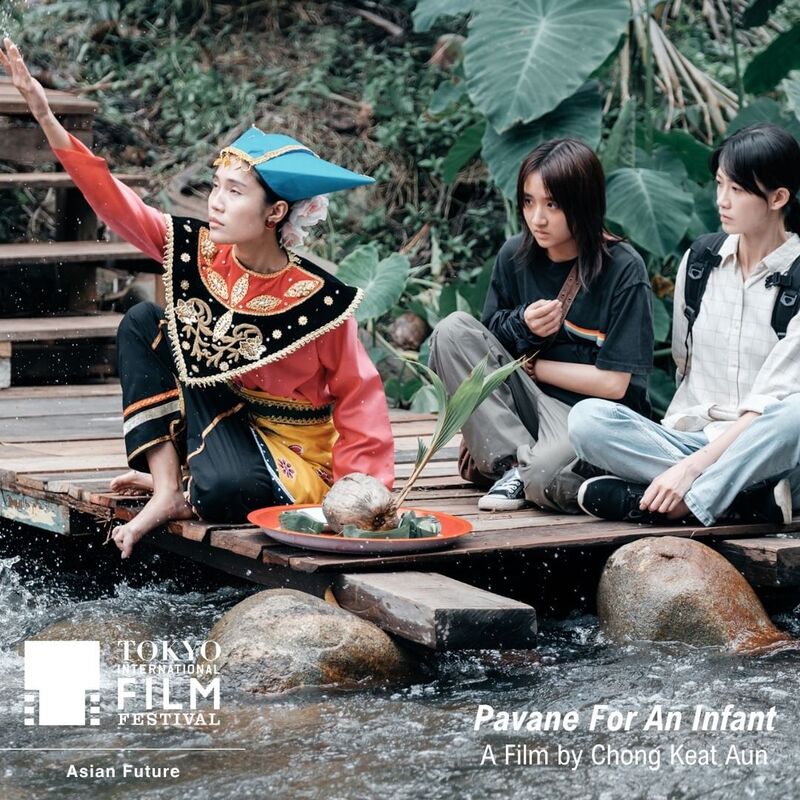 《摇篮凡世》自上映以来佳评如潮，屡获国际荣誉。

