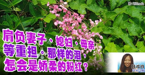 叶欢玲：新娘的眼泪