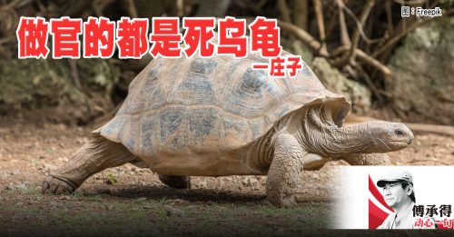 傅承得：吾将曳尾于涂中