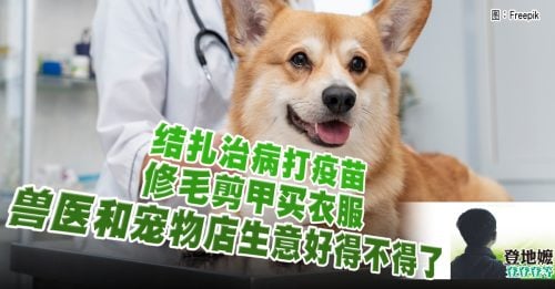 登地嬷：兽医好赚吗？