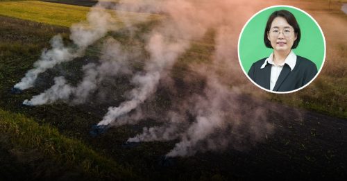 院校动态｜农业废料变黄金 纳米技术打造绿色新材料