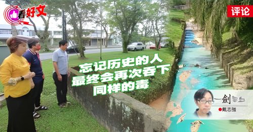 看好文｜戴志强：绿色运动变稀土蓝河