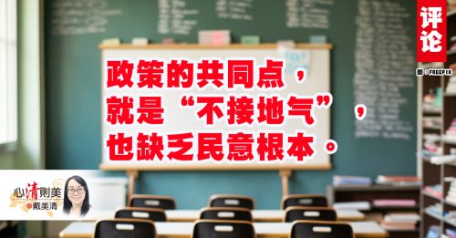 戴美清：政策不接地气