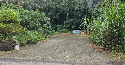 男勒死前女友入狱10多年　假释后又勒毙现任女友