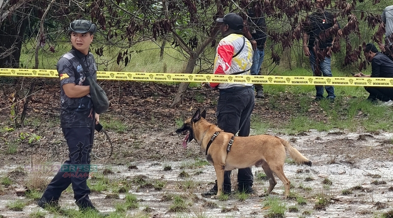 警方出动警犬到现场进行搜证工作。