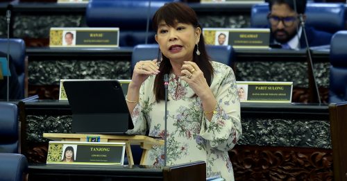 国会动态｜林慧英：逾90%保单持有者 第一年保费调整少于10%