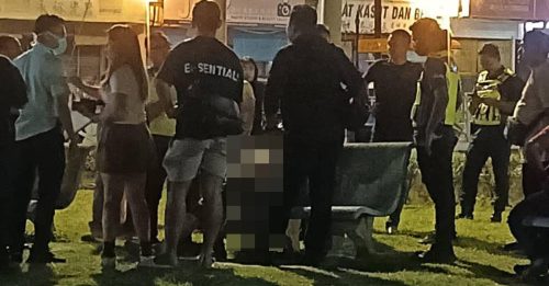 带孙散步 华裔祖父 公园猝死