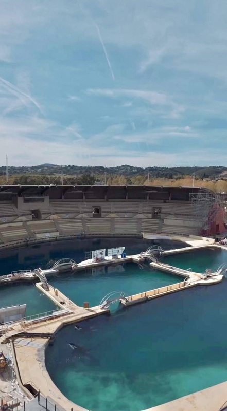 虎鲸被困 废弃海洋公园 对无人机镜头“表演”