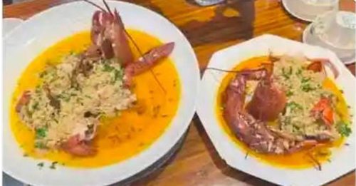 南京大学食堂 可吃帝王蟹 波士顿龙虾