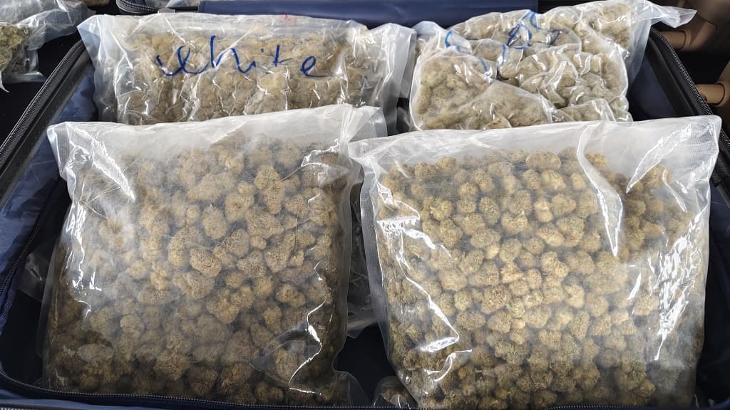 根据警方透露，本次起获的大麻花，可用于制作高浓度及不同口味的毒品大麻。