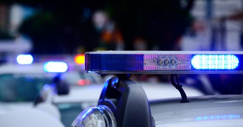 参与冒充官员诈骗 大马男在新被捕