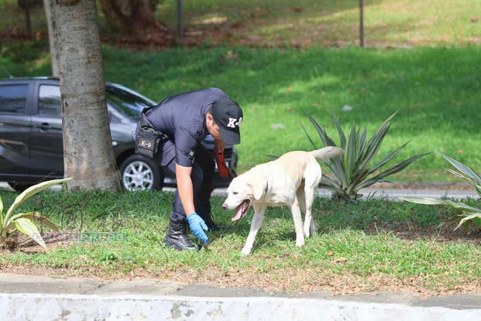 警方出动警犬组到现场搜证。