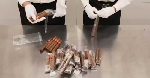 男子裤内藏48支雪茄 入境福田口岸被查获