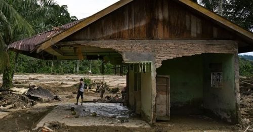 涉破坏环境 印尼20家公司将被吊销执照