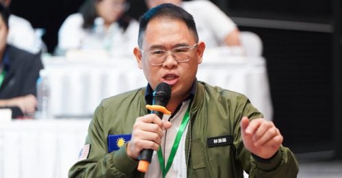 林添顺：不要拼贴式联盟 人民要更有战斗力马华