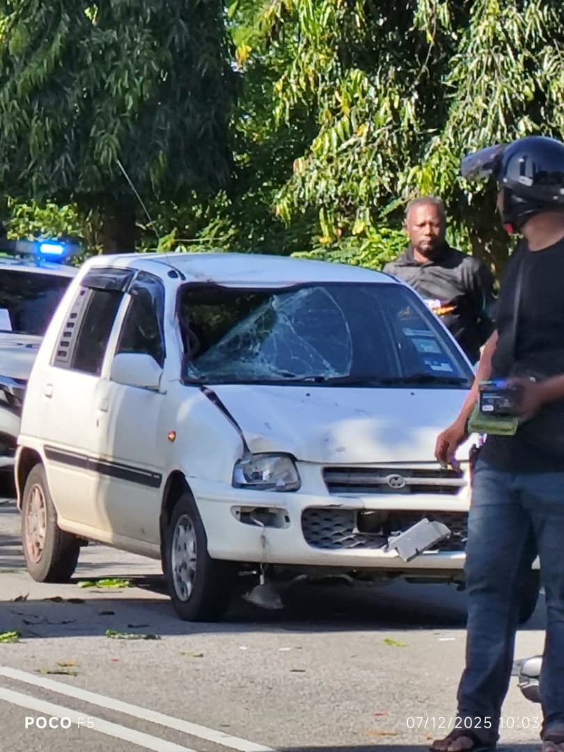 跌入车道被车撞 华裔女骑士身亡