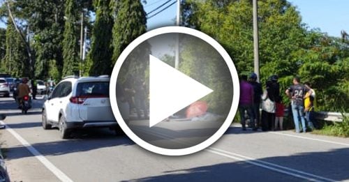 跌入车道被车撞 华裔女骑士身亡