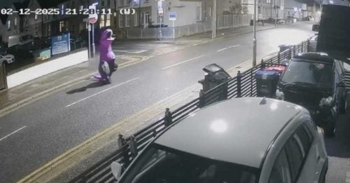 居民扮恐龙夜晚丢垃圾被拍 疑为逃罚款 议员批评