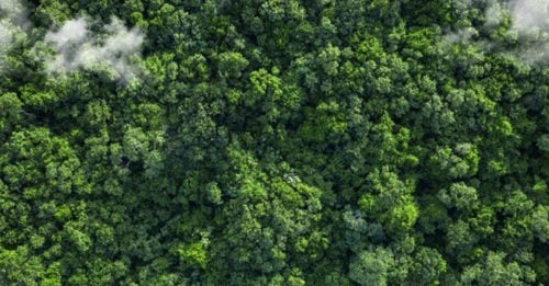 猎人入山打猎 惊见男尸 头颅白骨化