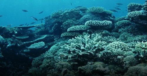 玩FUN大马｜海味满载，亚庇好好玩