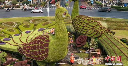 今日国际30秒｜南京鼓楼“孔雀”换冬装