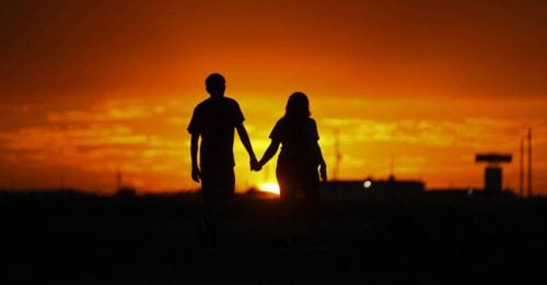 哺乳动物一夫一妻“忠诚度” 人类只排名第7