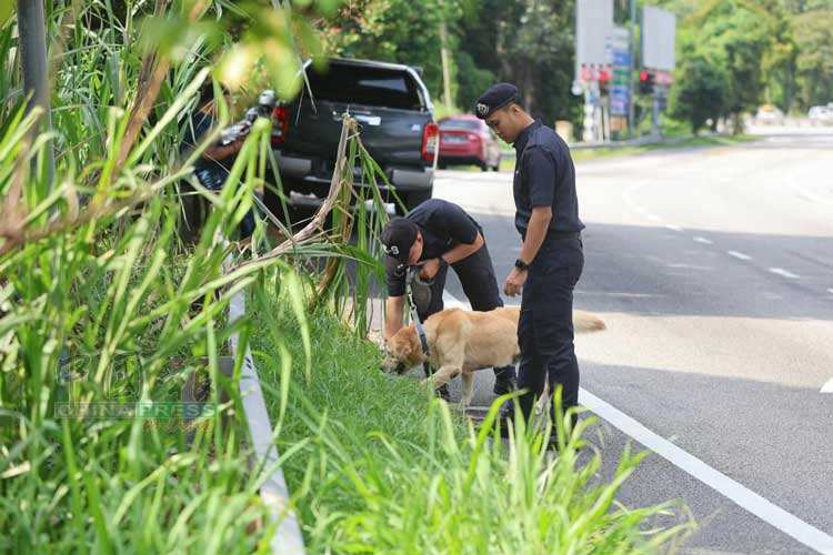 警方出动警犬组到现场搜证。